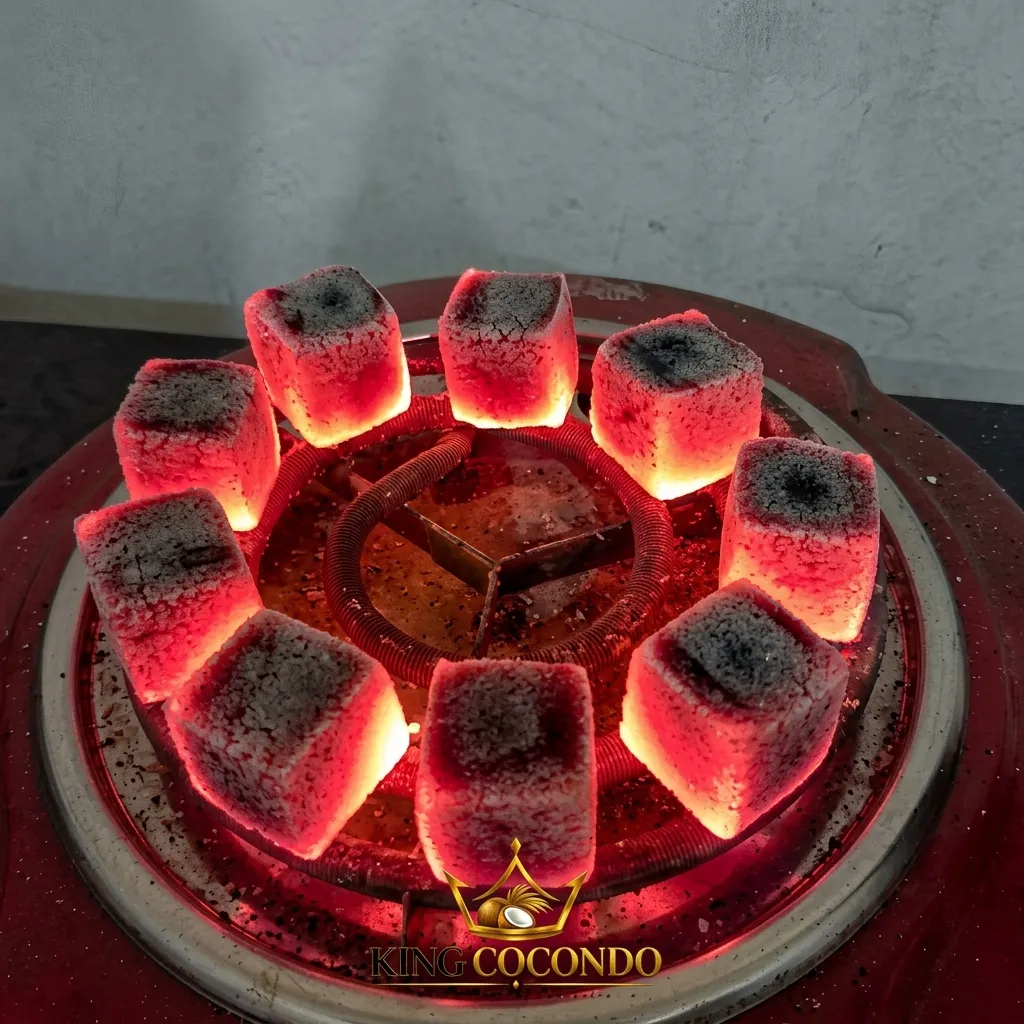 Burning Hexagon Charcoal Briquettes