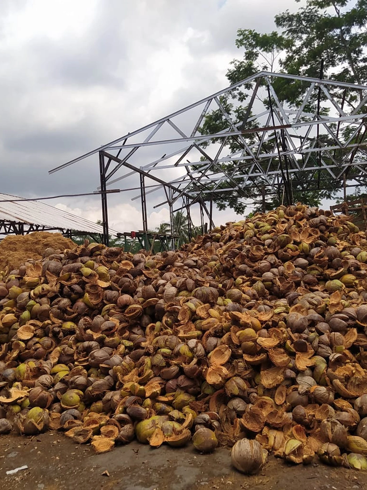 Premium Coconut Products Mobile