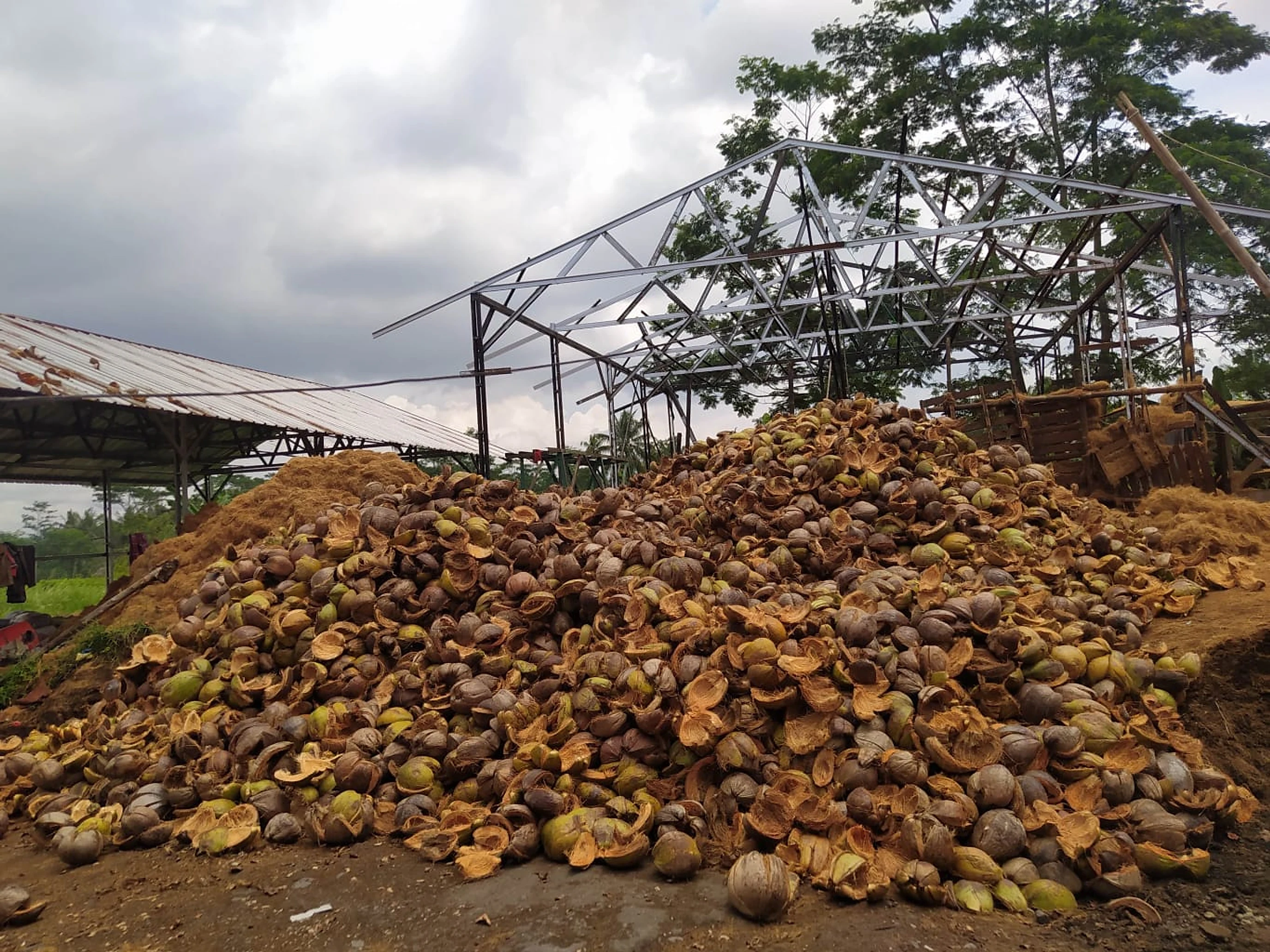 Premium Coconut Products